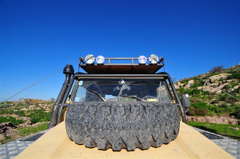 DSC_6462 (Medium).jpg