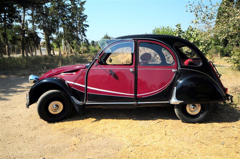 DSC_7296 (Medium).JPG