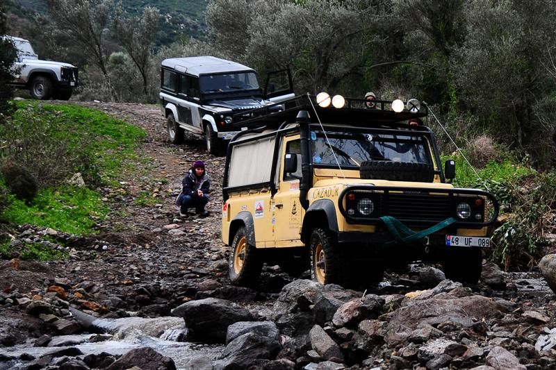 DSC_7475a (Medium).jpg