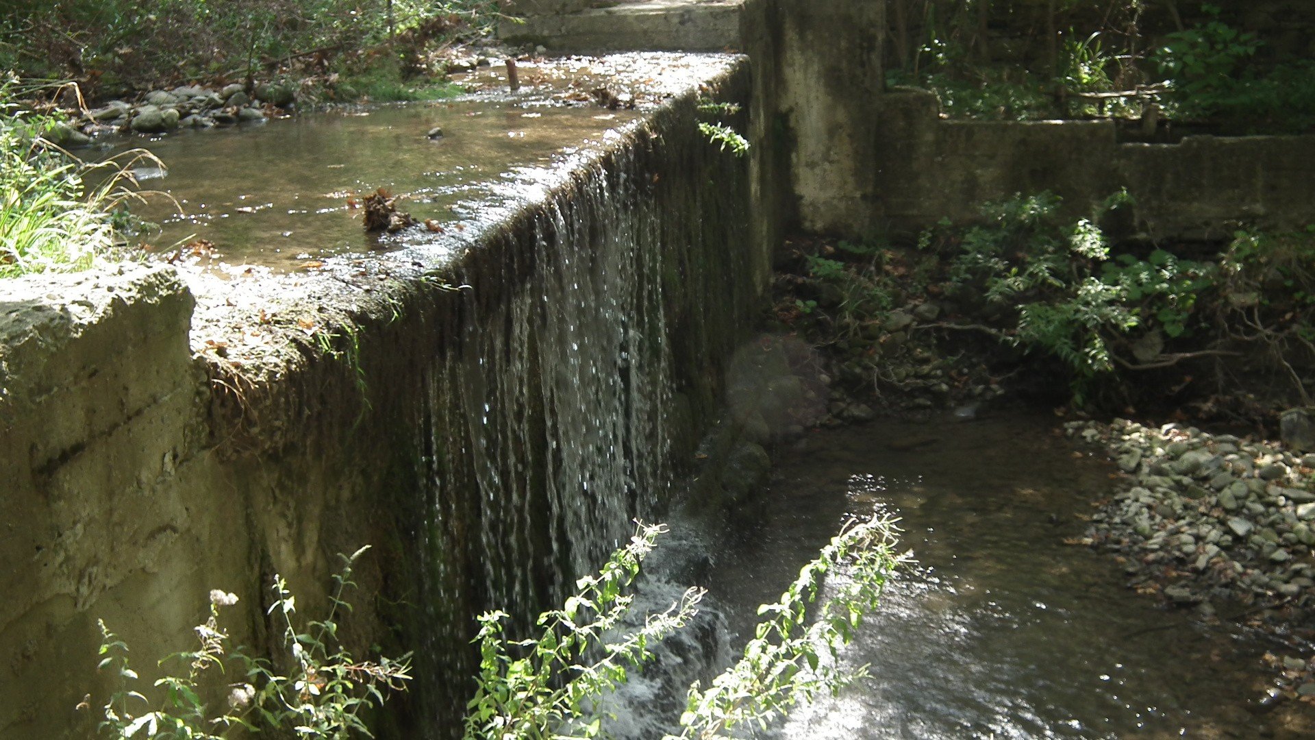 DSCF0025.jpg