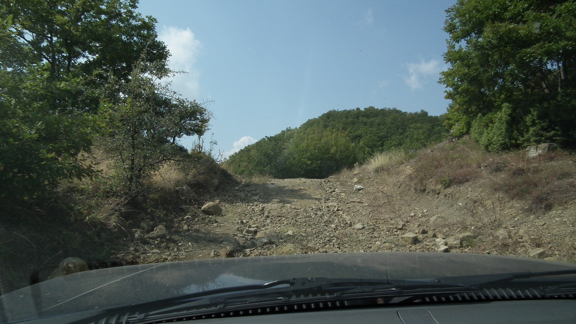 DSCF0029.jpg