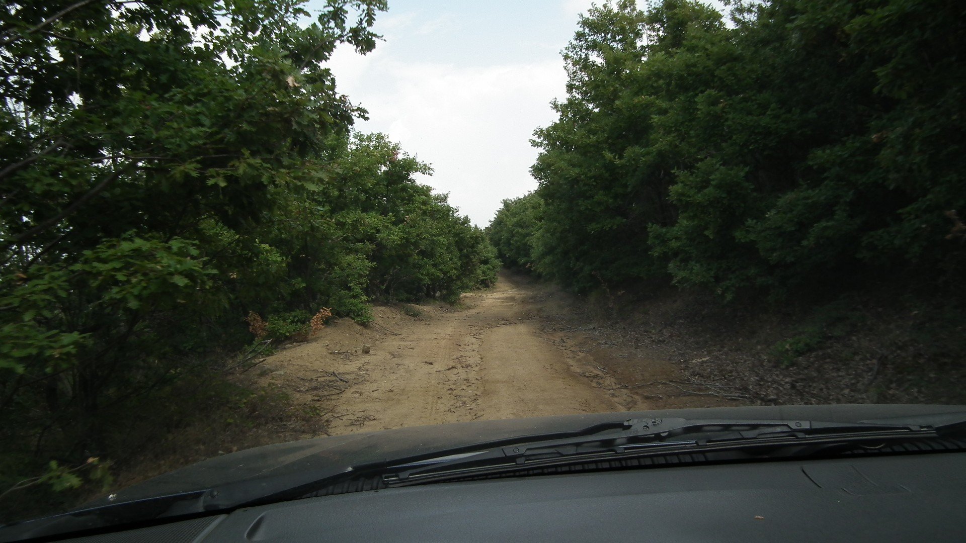 DSCF0047.jpg