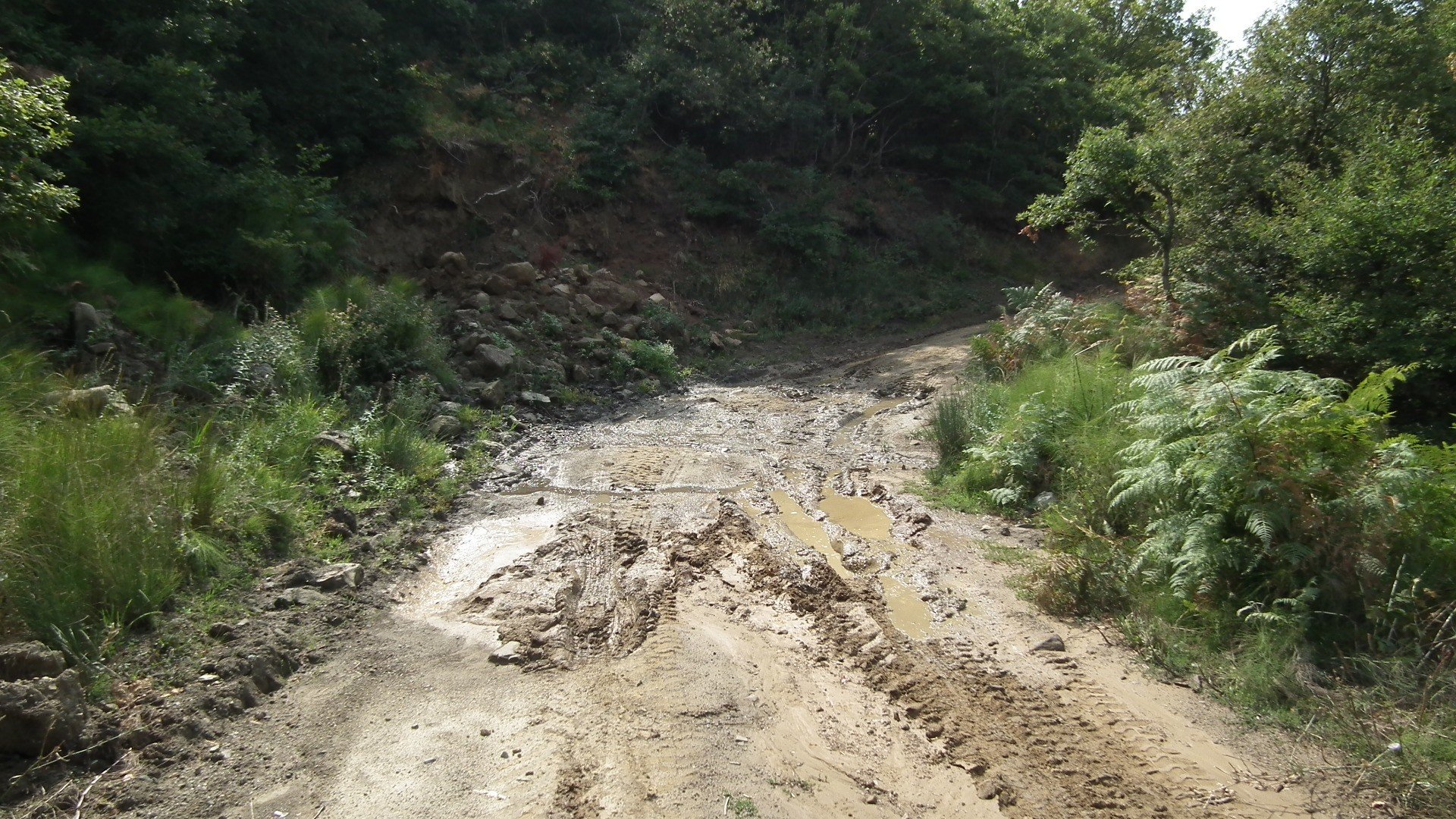 DSCF0060.jpg