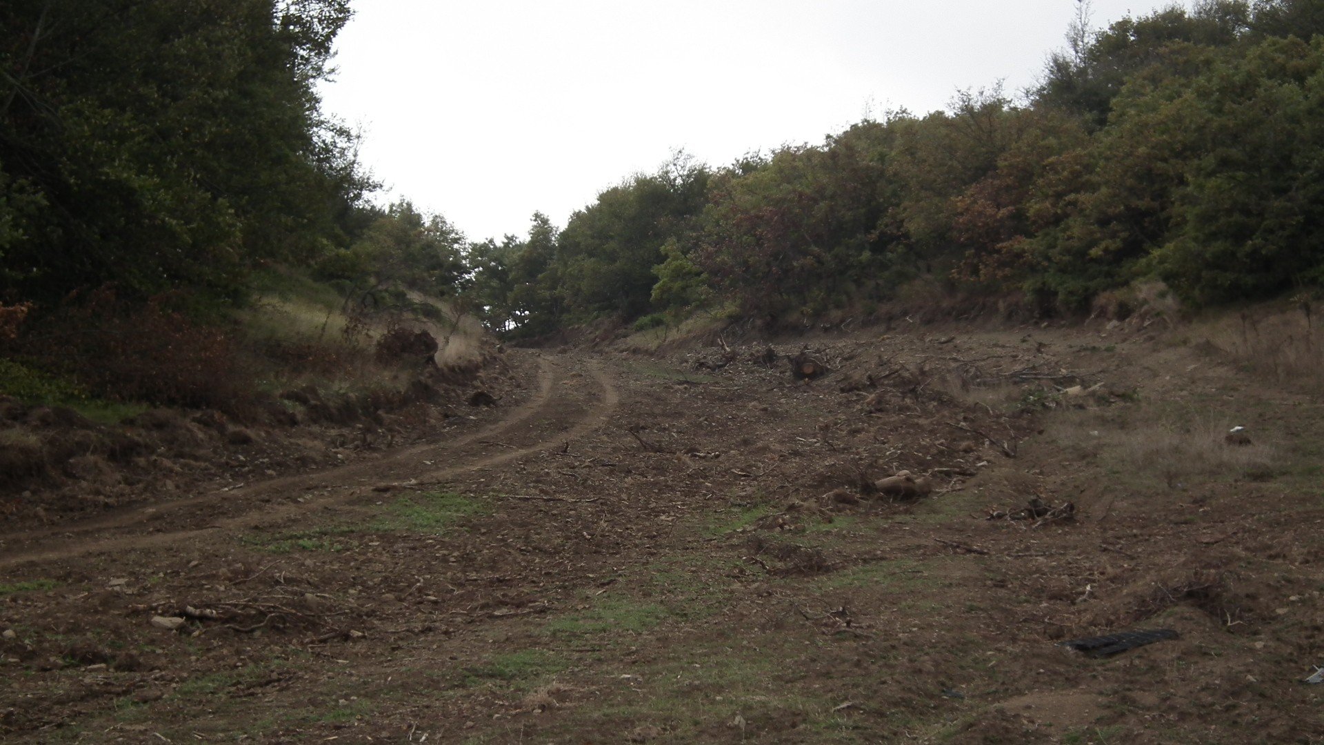 DSCF0066.jpg