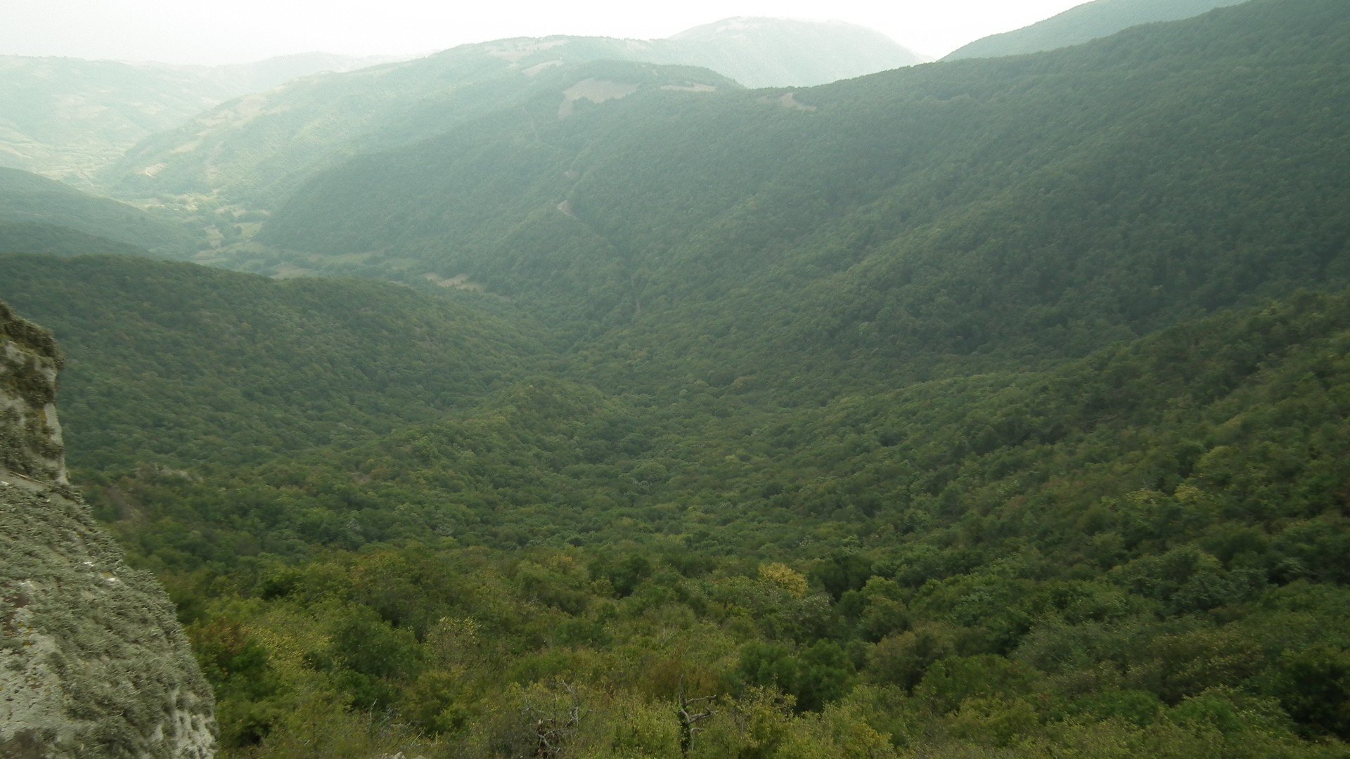 DSCF0101.jpg