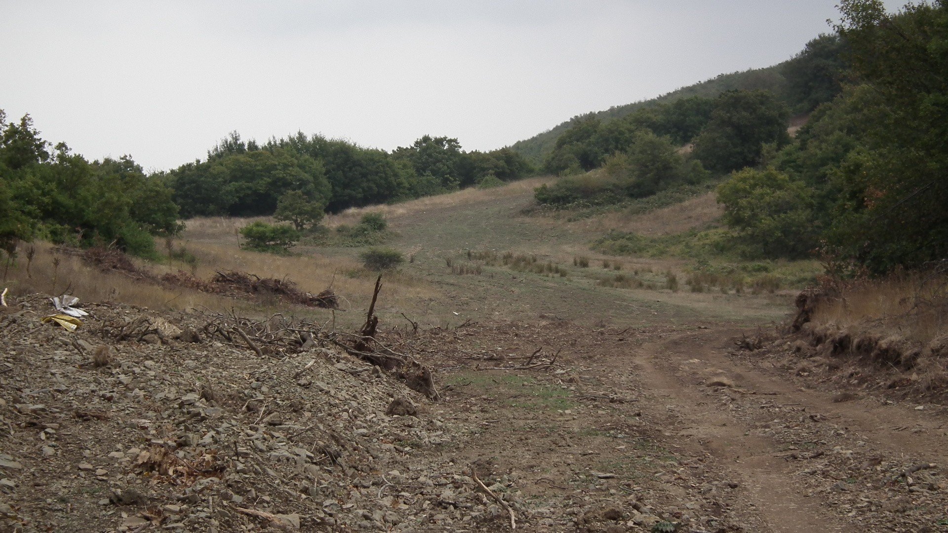 DSCF0123.jpg