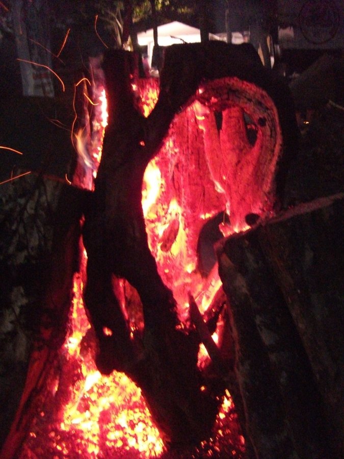 DSCF0140.JPG