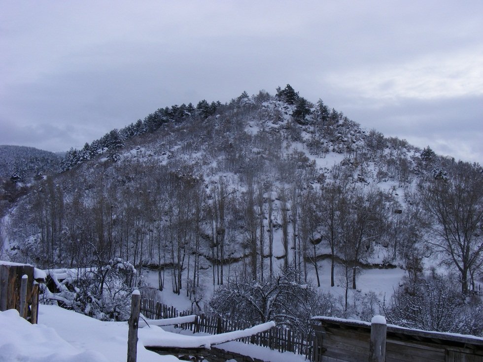 DSCF0613.JPG