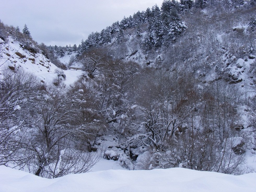 DSCF0616.JPG