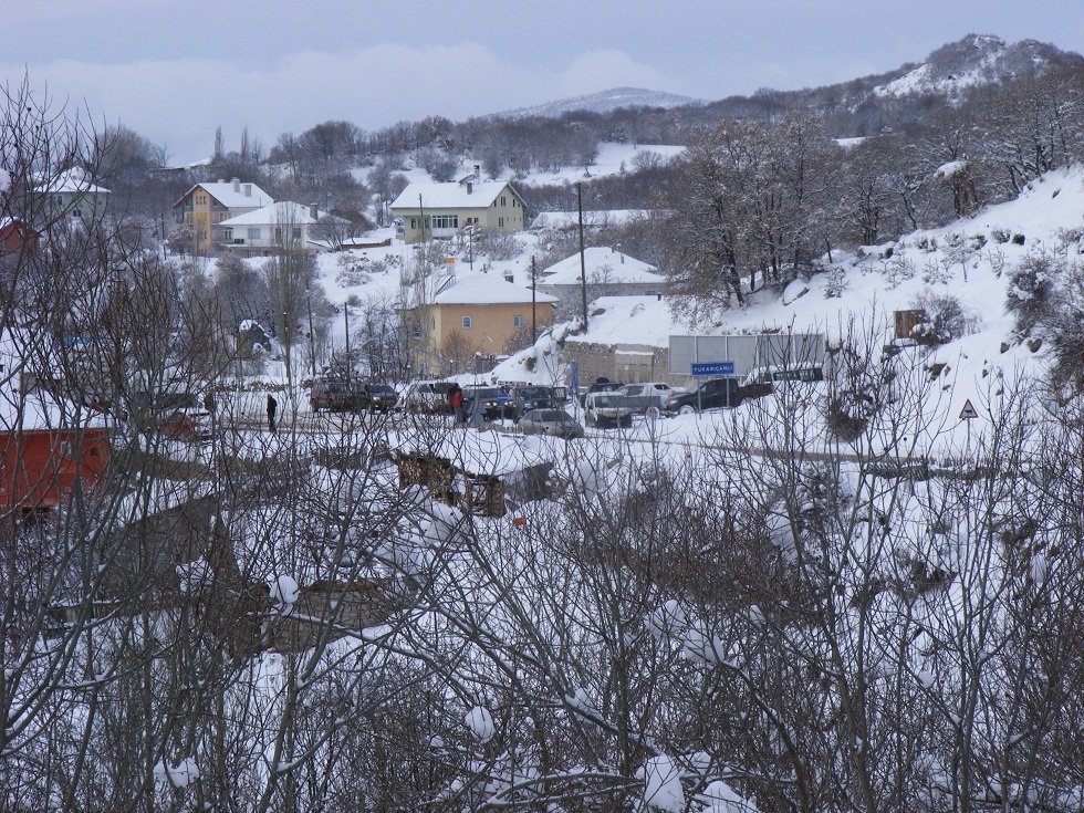 DSCF0617.JPG
