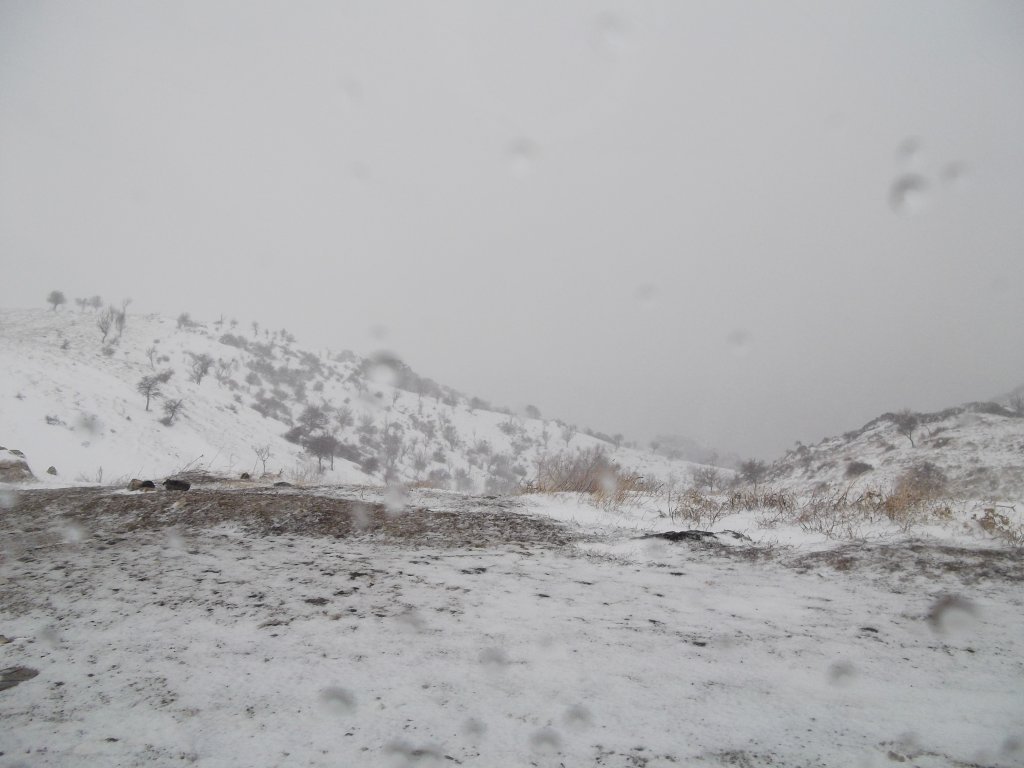 DSCF0894.jpg