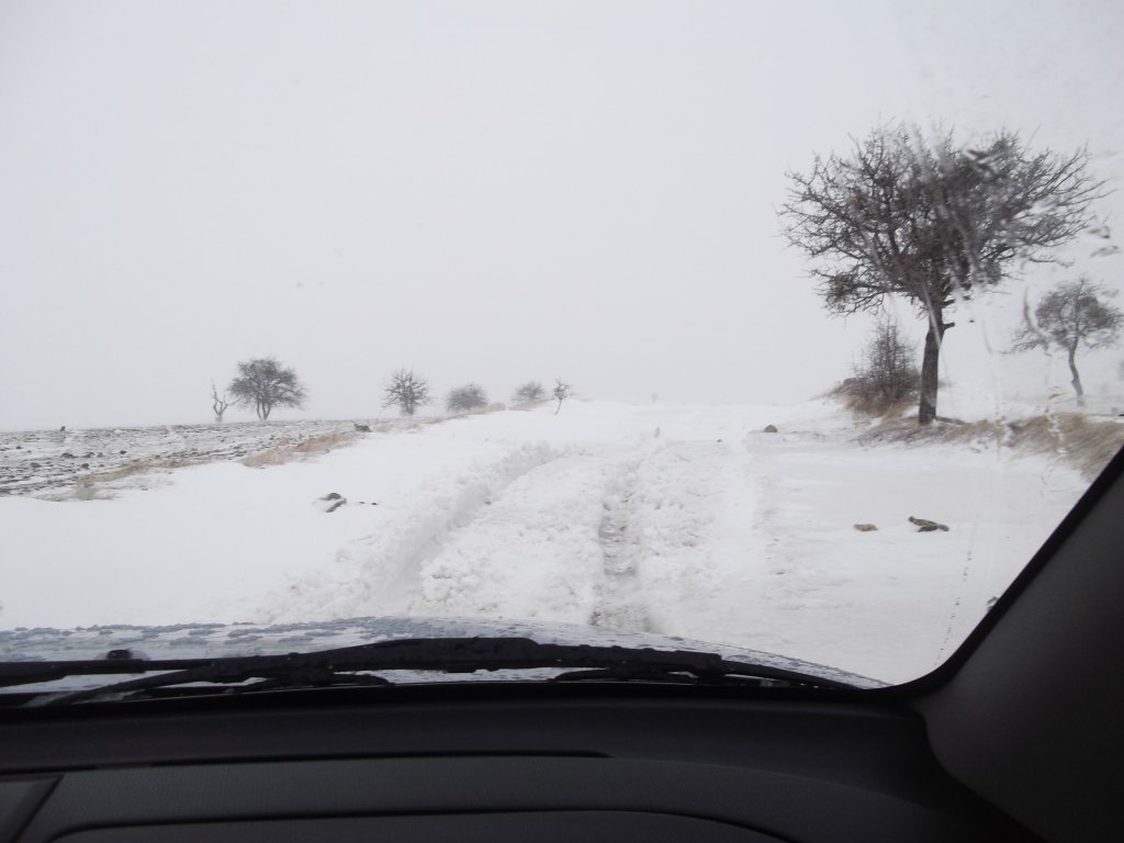 DSCF0895.jpg