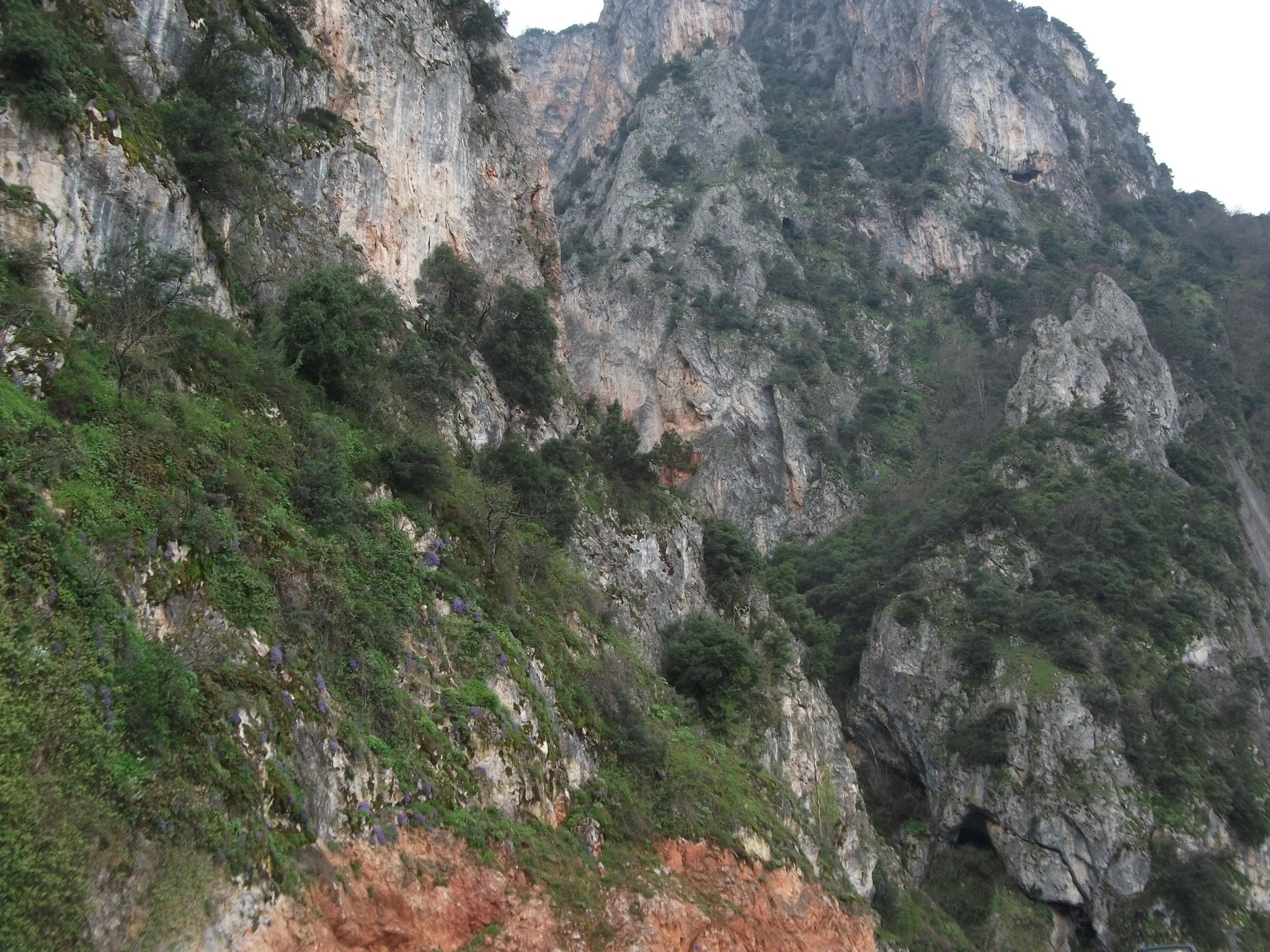 DSCF1702.jpg