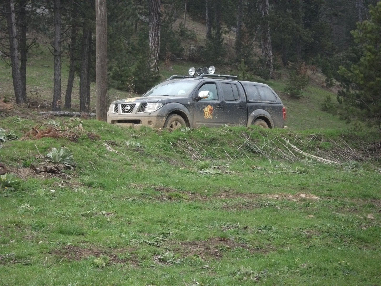 DSCF1770.jpg