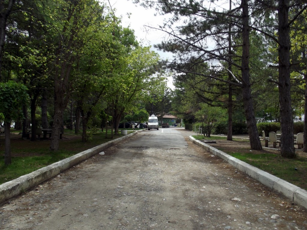 DSCF2465.JPG