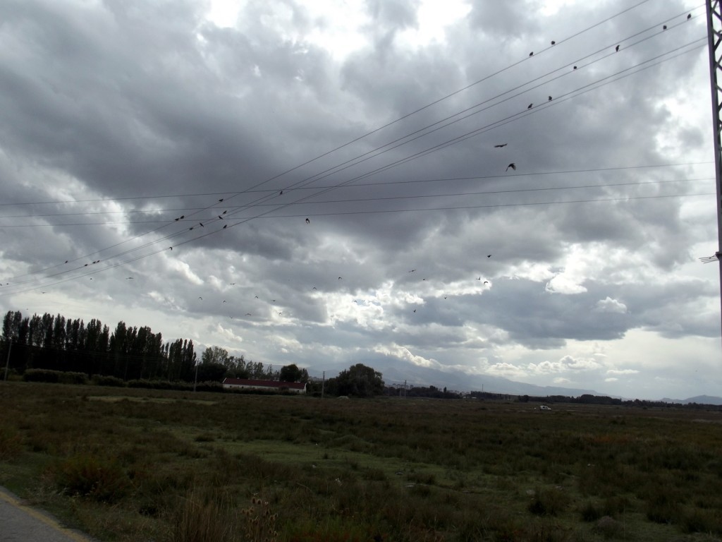 DSCF2468.JPG