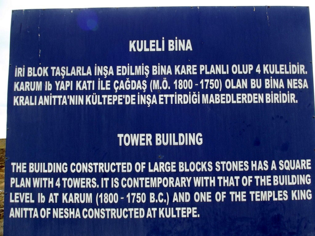 DSCF2489.JPG