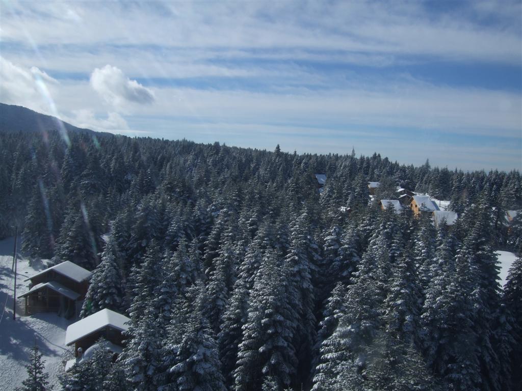 DSCF3642 (Large).JPG