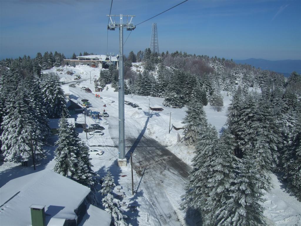 DSCF3644 (Large).JPG