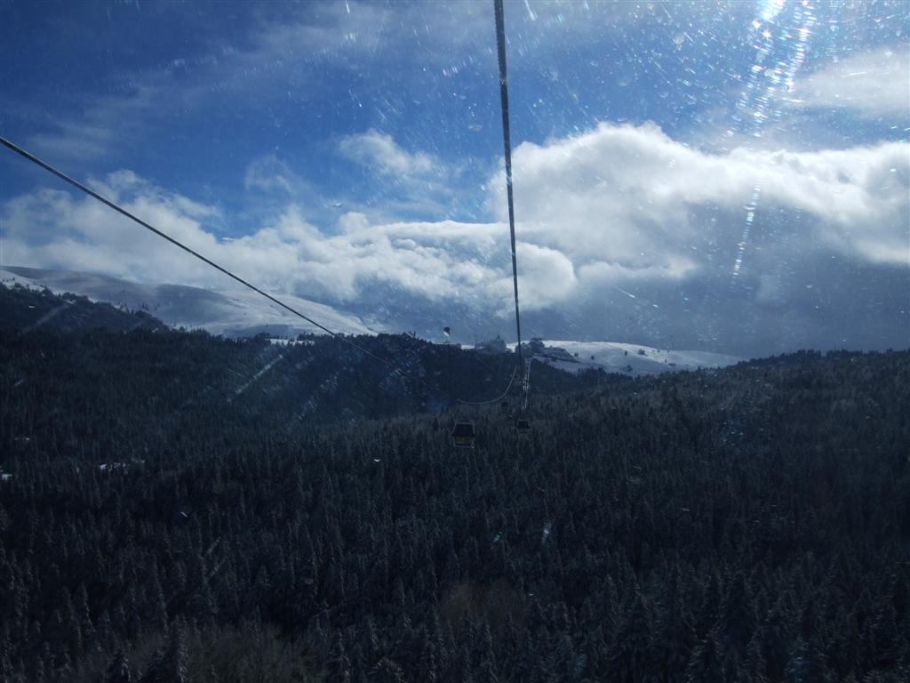 DSCF3658 (Large).JPG