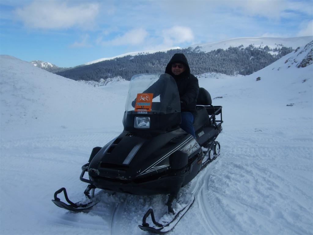 DSCF3664 (Large).JPG