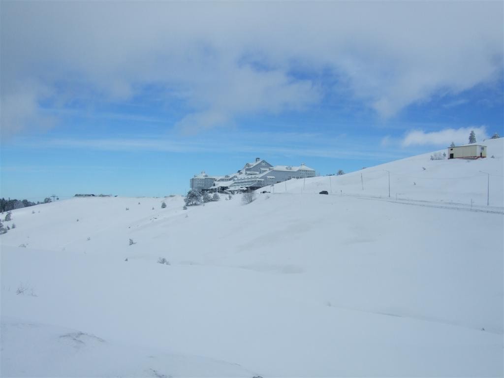 DSCF3672 (Large).JPG