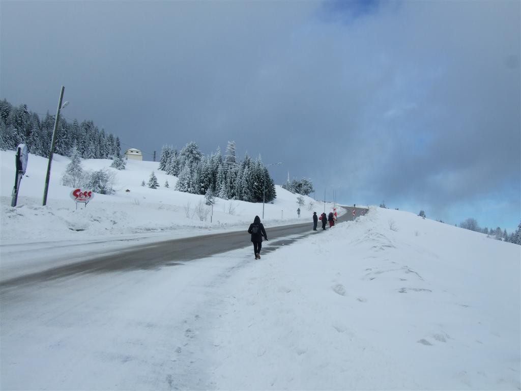 DSCF3673 (Large).JPG