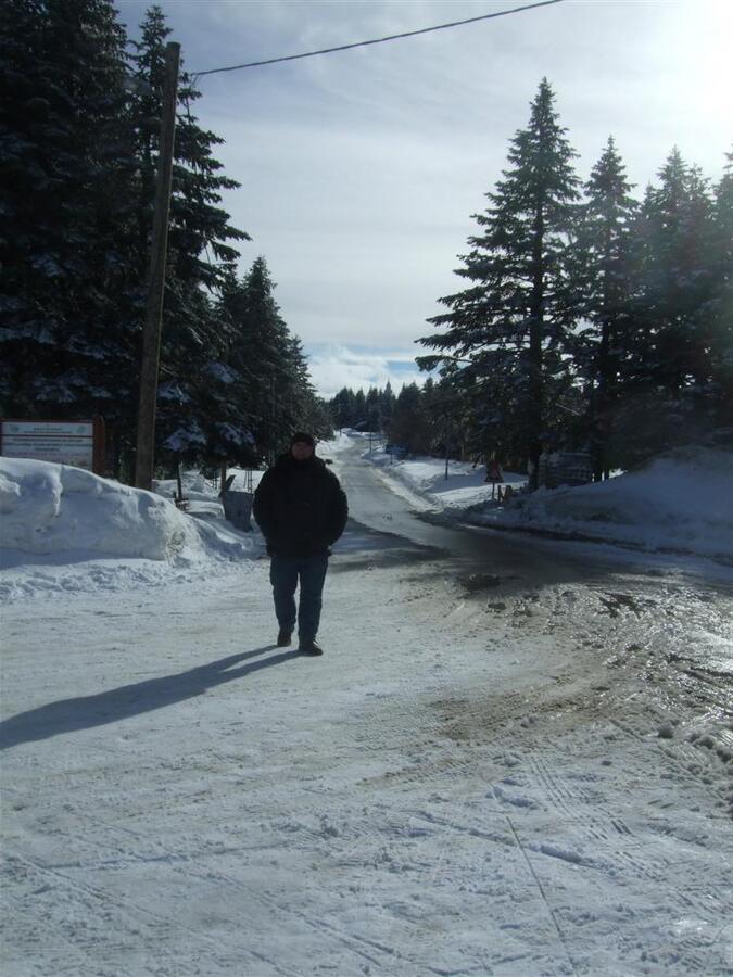 DSCF3697 (Large).JPG