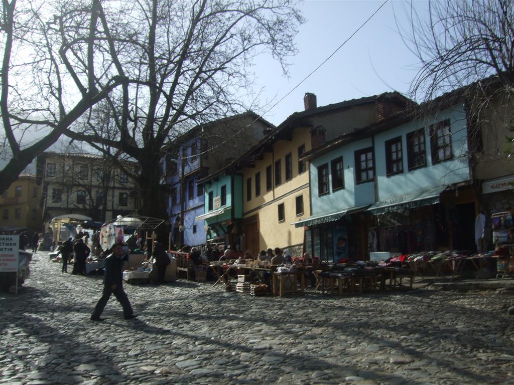 DSCF3719 (Large).JPG