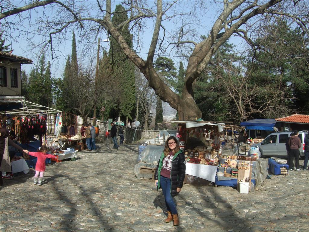 DSCF3720 (Large).JPG