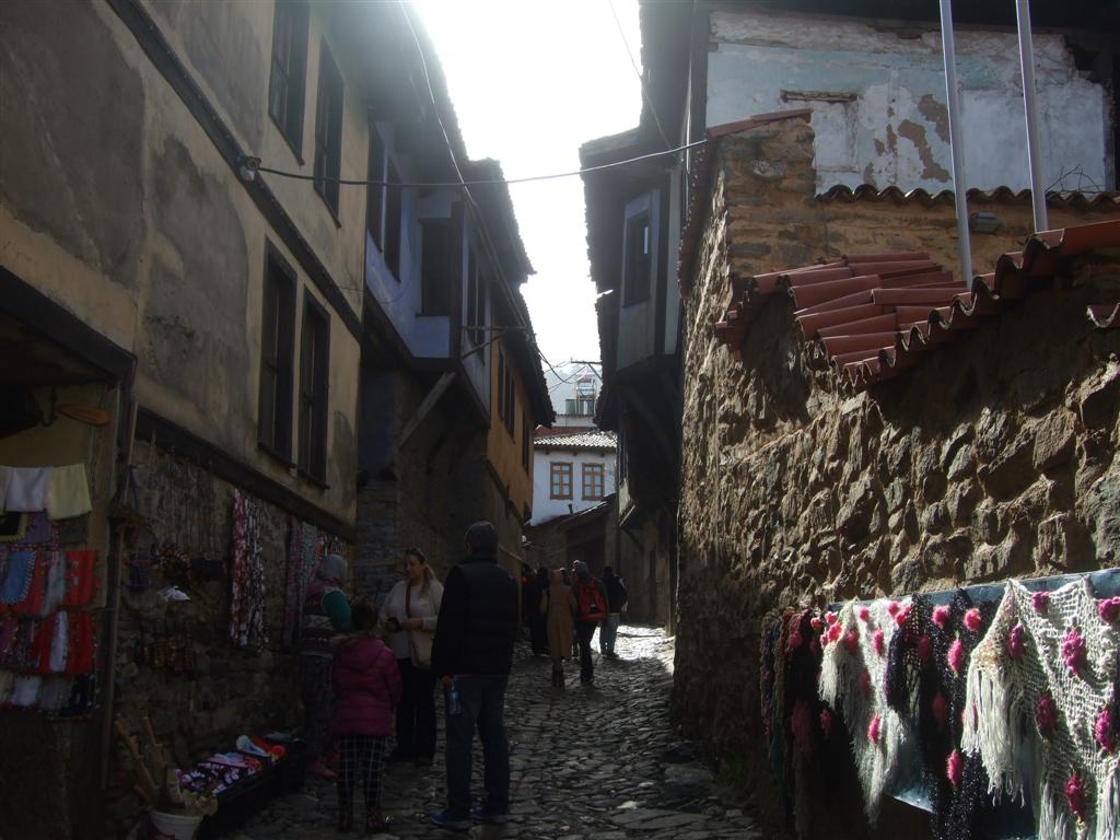 DSCF3727 (Large).JPG