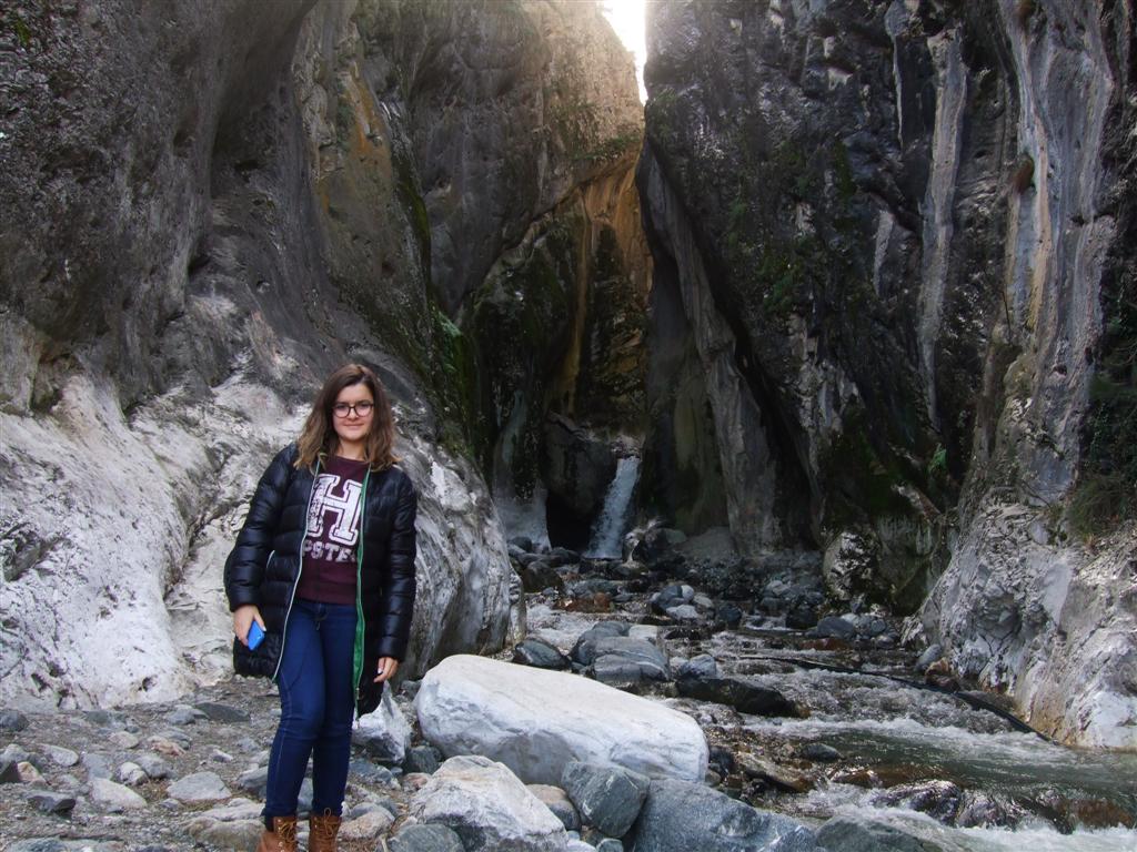 DSCF3742 (Large).JPG