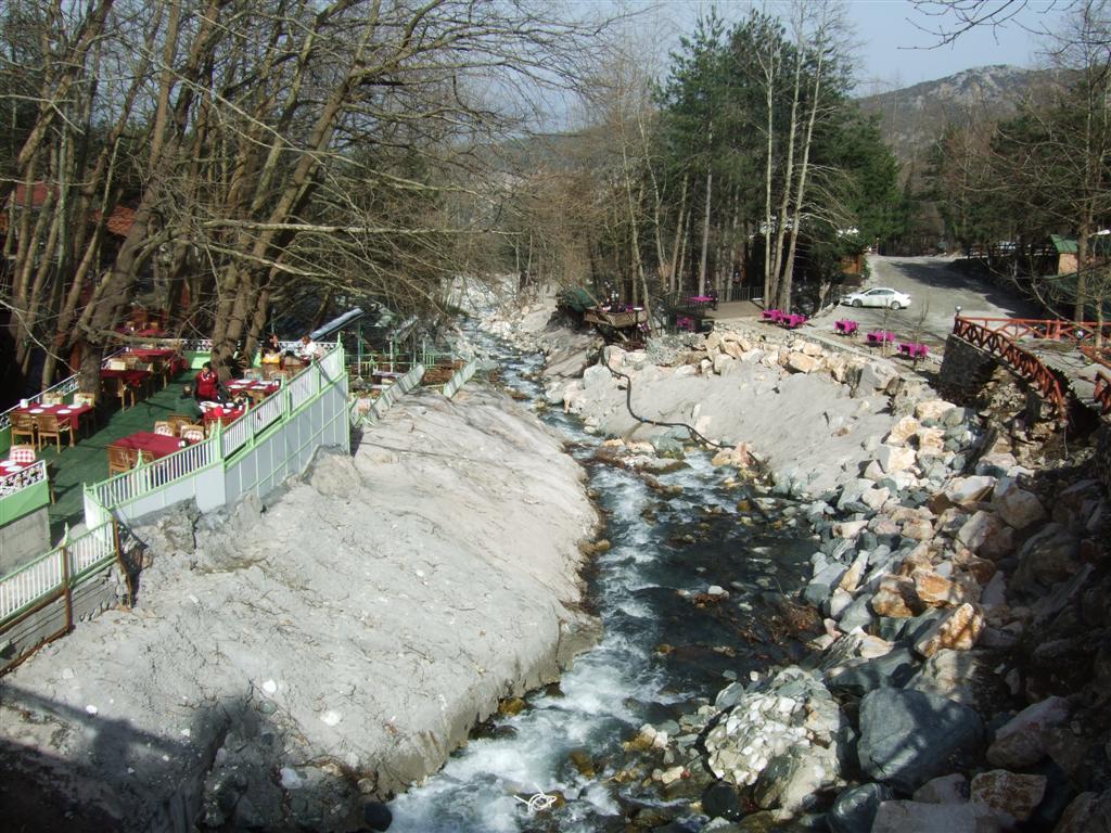 DSCF3743 (Large).JPG