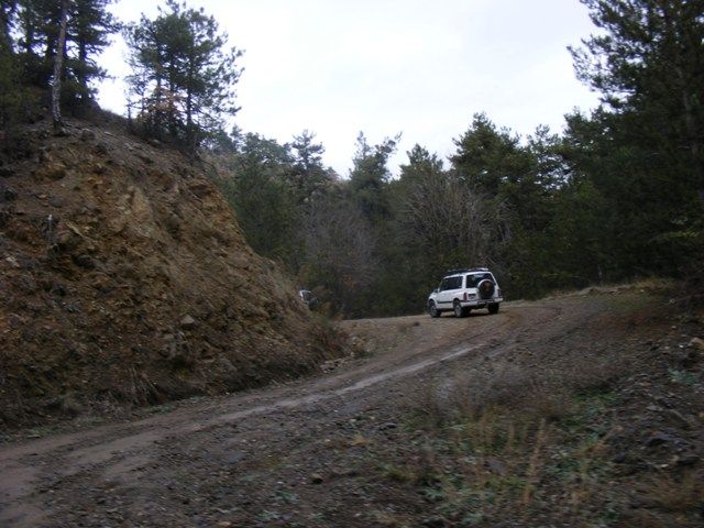 DSCF4175.jpg