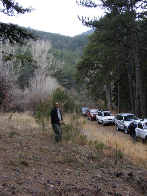 DSCF4196.jpg
