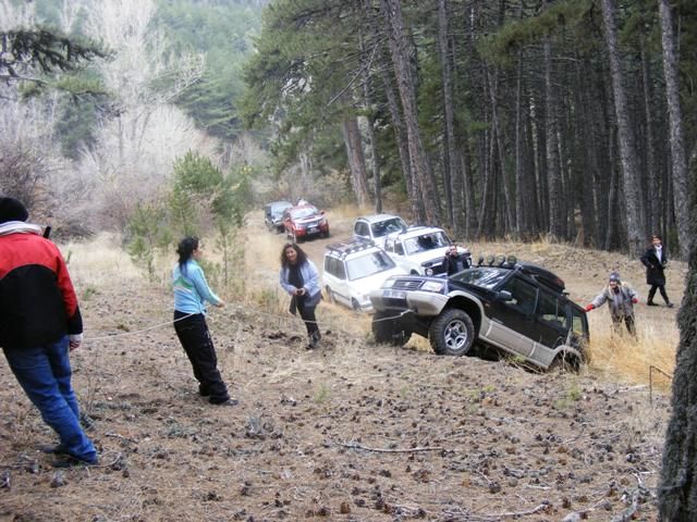 DSCF4211.jpg
