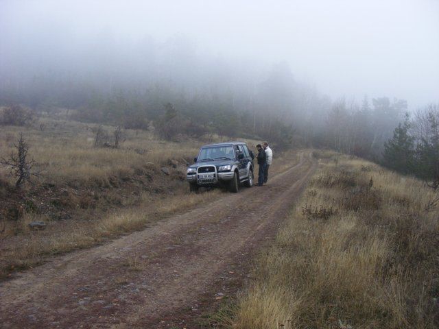DSCF4231.jpg
