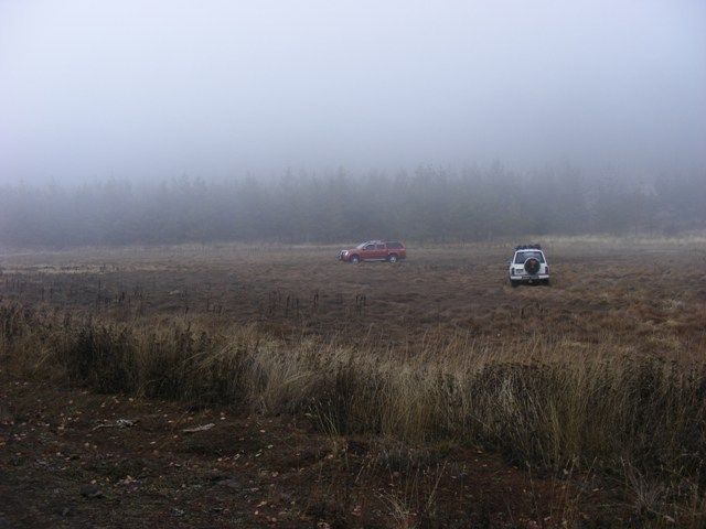 DSCF4237.jpg