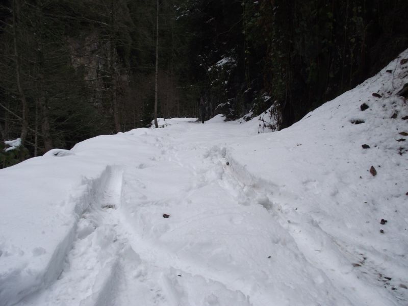 DSCF4640.jpg DSCF4640.jpg