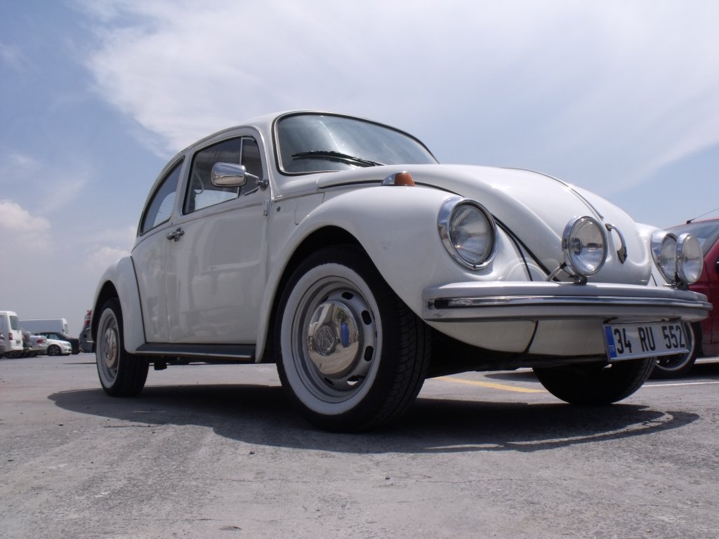 DSCF5668.jpg