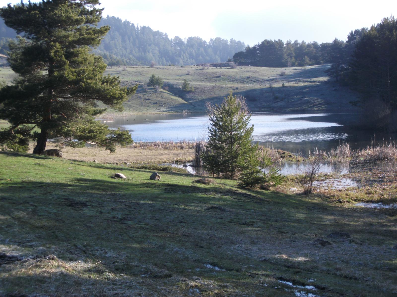 DSCF7478.jpg