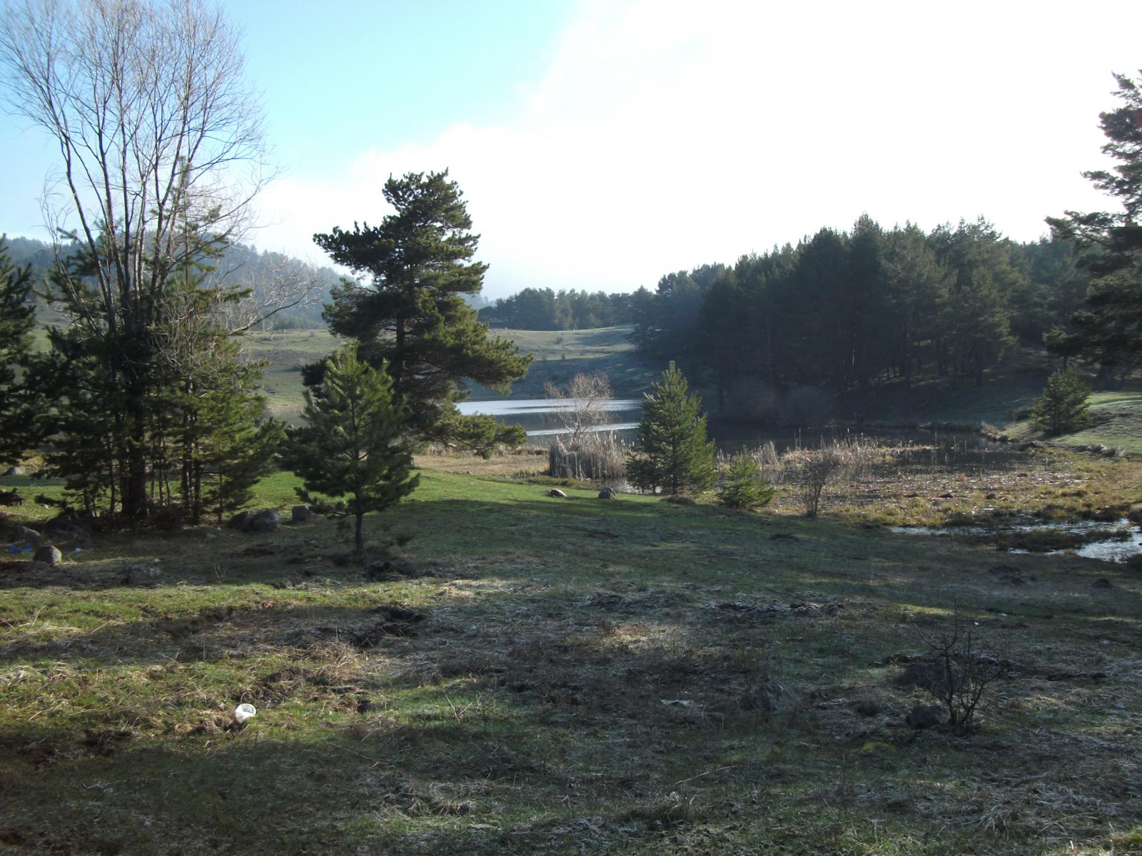 DSCF7484.jpg