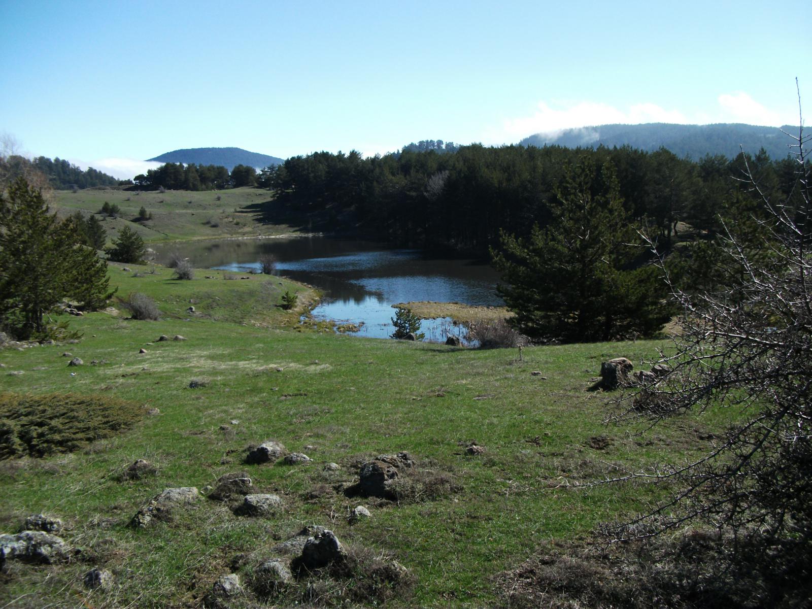 DSCF7497.jpg