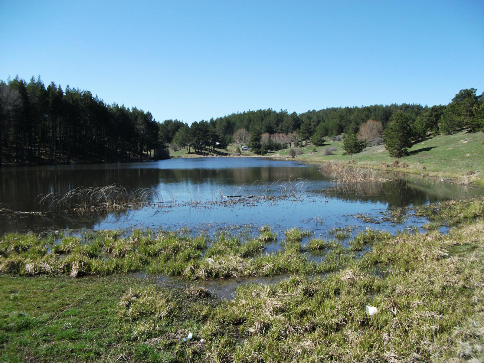 DSCF7498.jpg