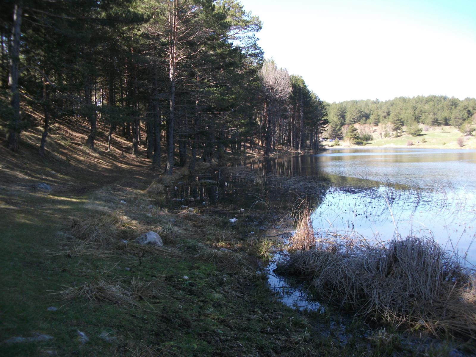 DSCF7502.jpg