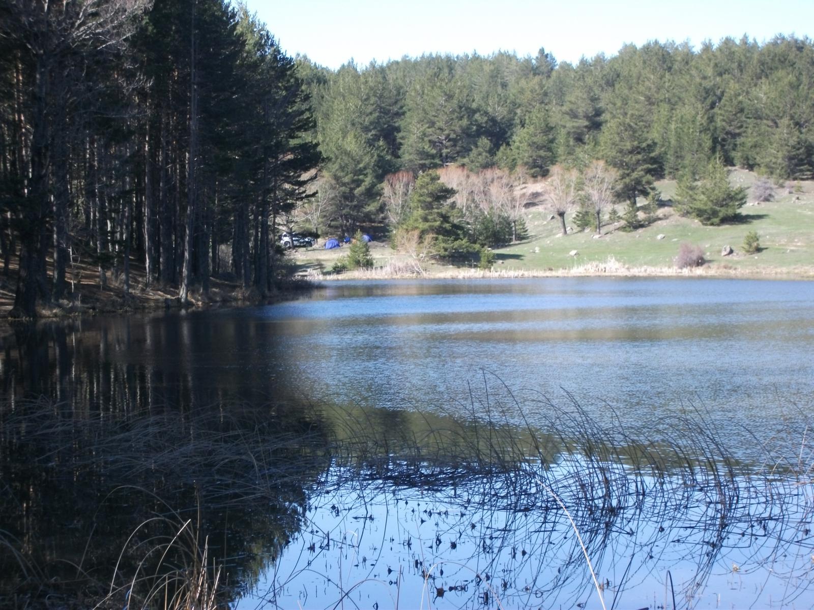 DSCF7503.jpg