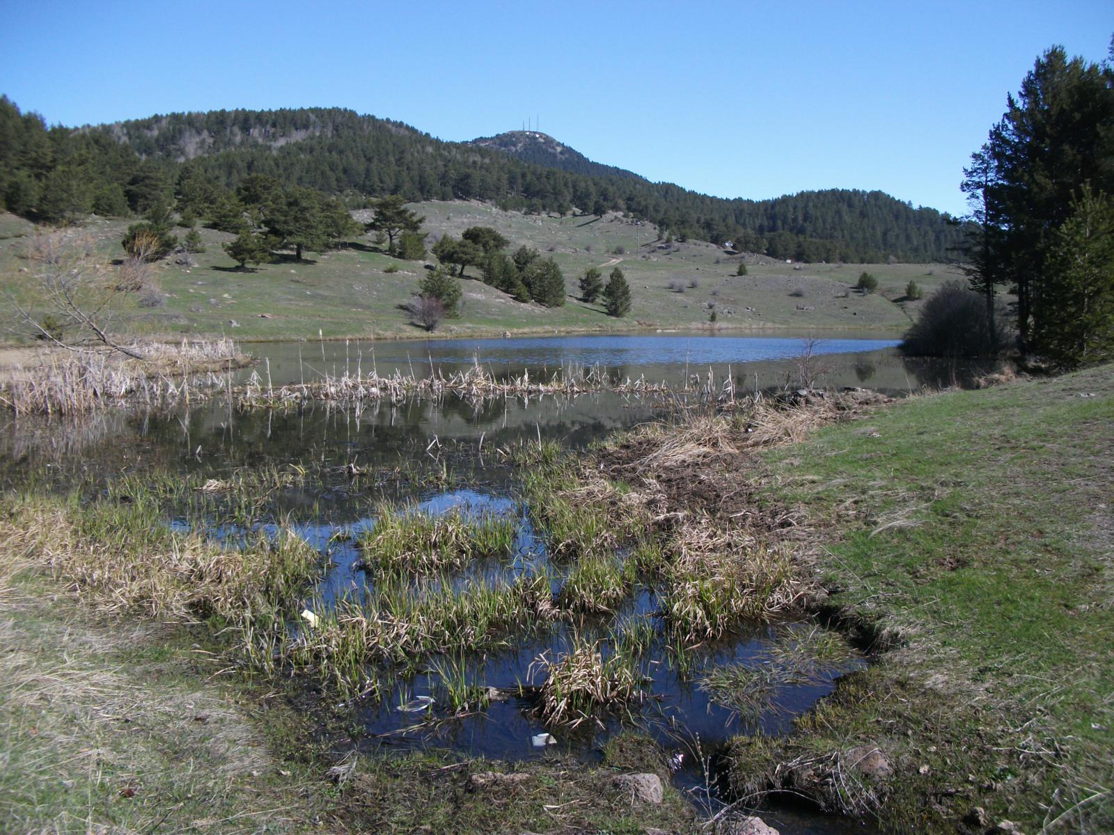 DSCF7506.jpg