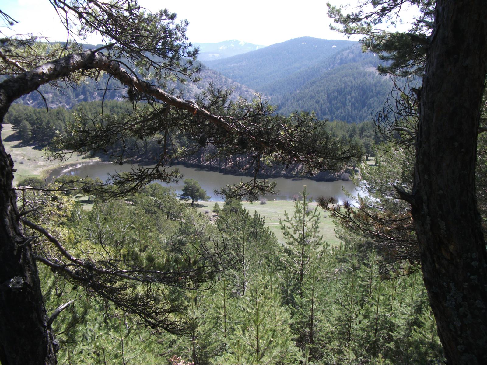 DSCF7561.jpg