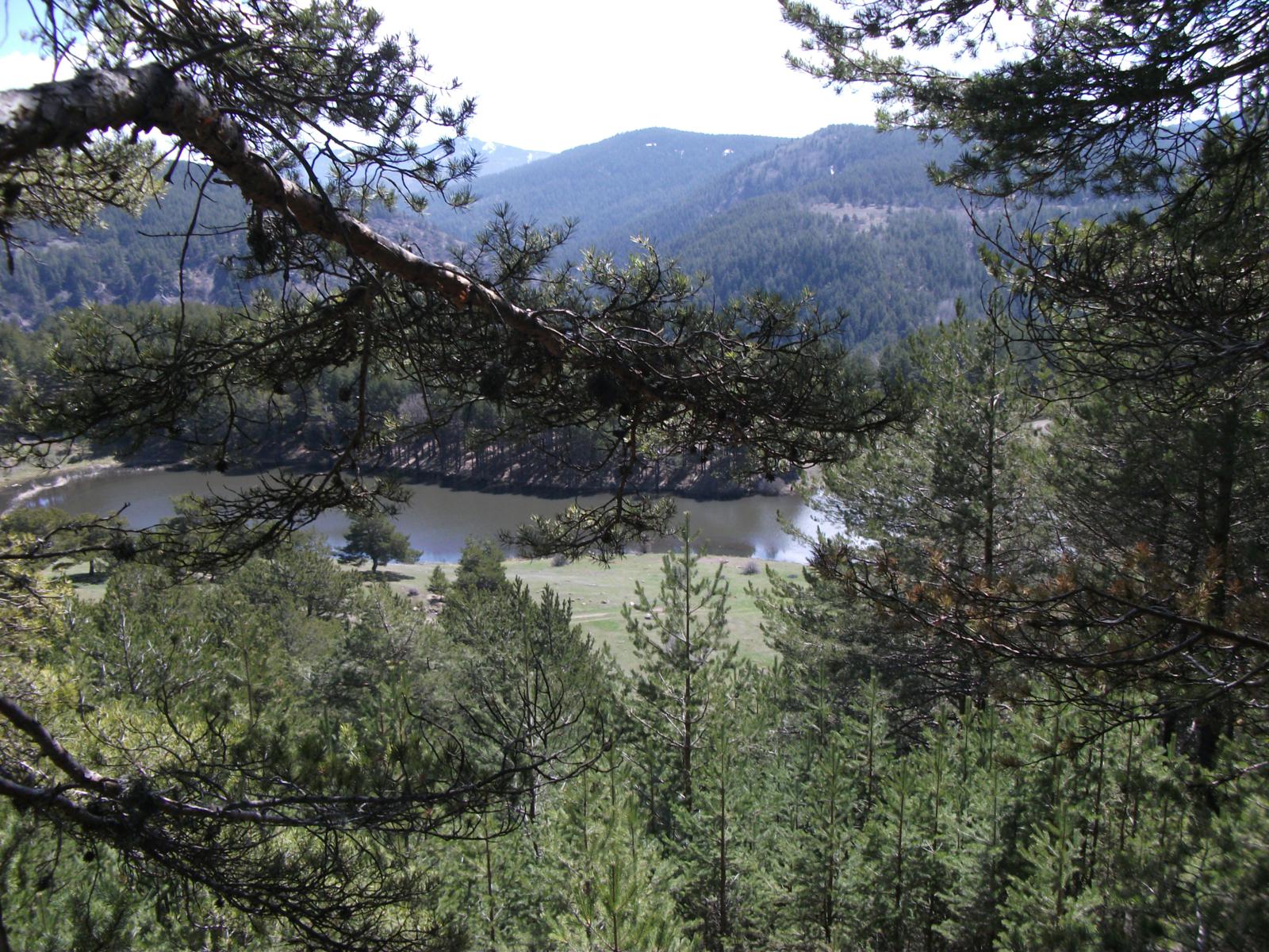 DSCF7562.jpg