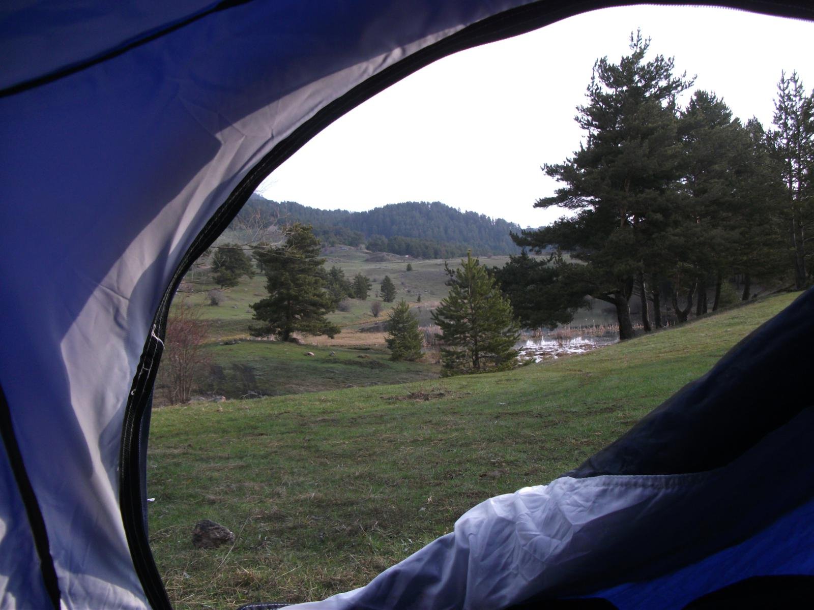 DSCF7646.jpg